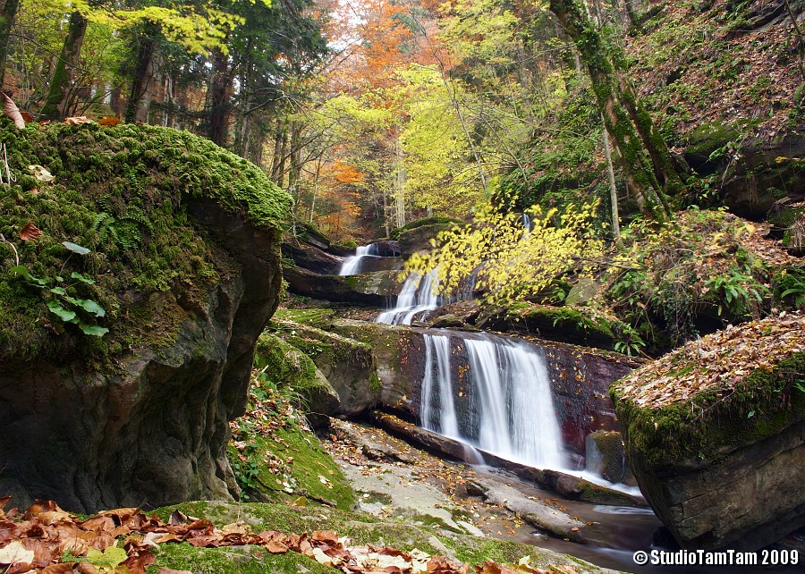 Torrrente nel bosco.jpg